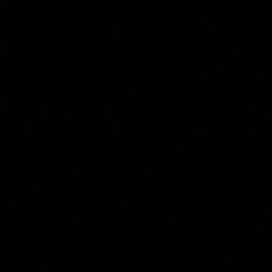 Meet your Posher, Shardé